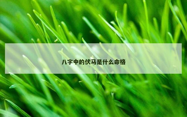 八字中的伏马是什么命格