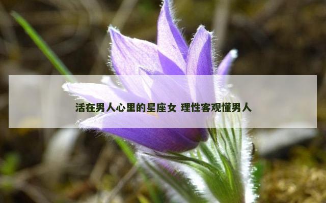 活在男人心里的星座女 理性客观懂男人