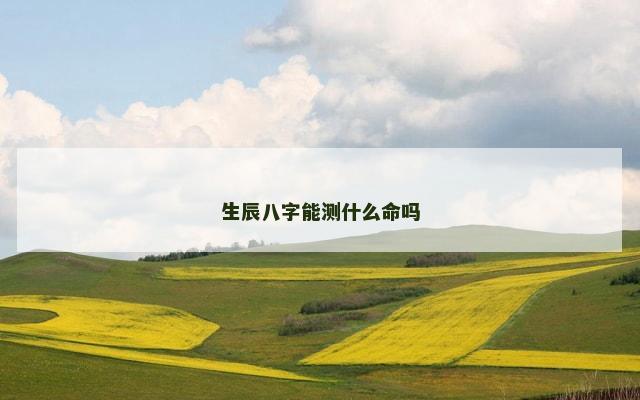 生辰八字能测什么命吗