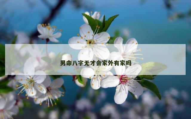 男命八字无才会家外有家吗