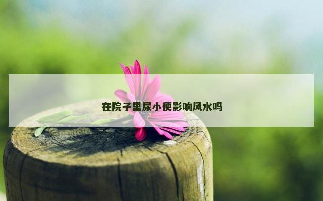 在院子里尿小便影响风水吗