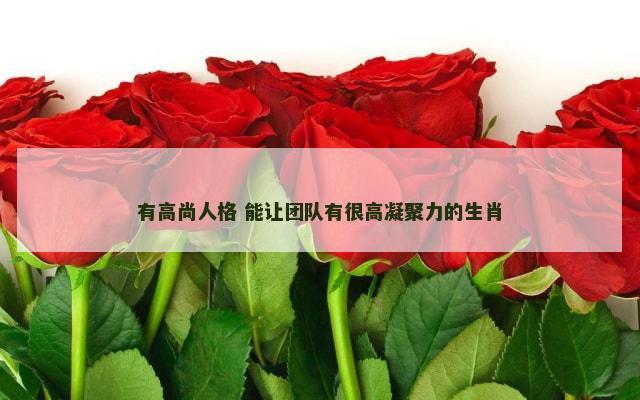 有高尚人格 能让团队有很高凝聚力的生肖