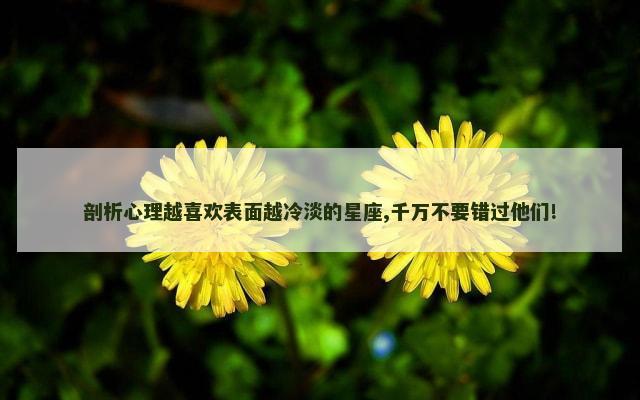 剖析心理越喜欢表面越冷淡的星座,千万不要错过他们!