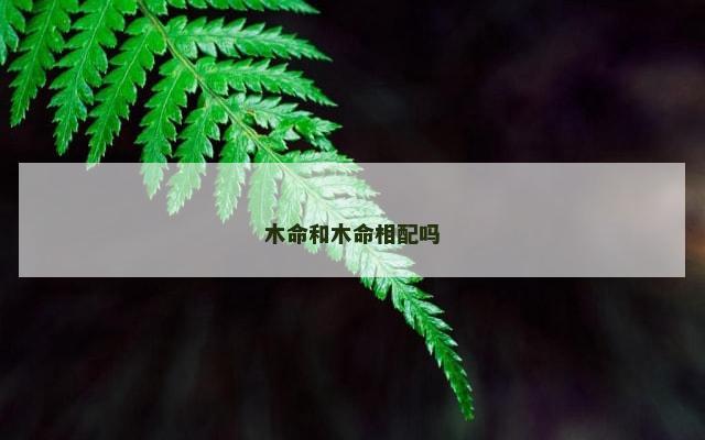 木命和木命相配吗