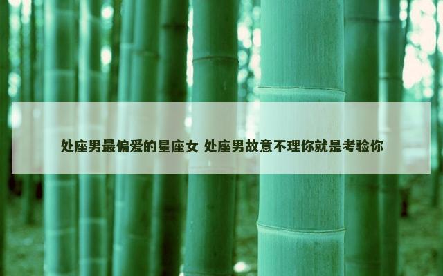 处座男最偏爱的星座女 处座男故意不理你就是考验你