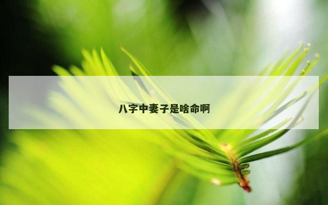 八字中妻子是啥命啊