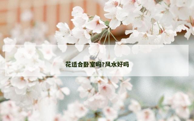 花适合卧室吗?风水好吗