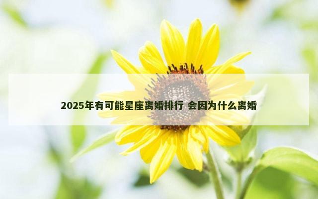 2025年有可能星座离婚排行 会因为什么离婚