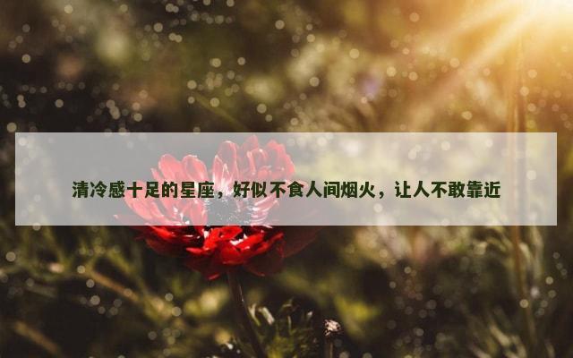 清冷感十足的星座，好似不食人间烟火，让人不敢靠近