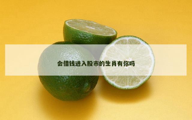 会借钱进入股市的生肖有你吗
