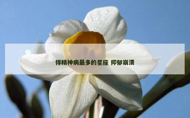 得精神病最多的星座 抑郁崩溃
