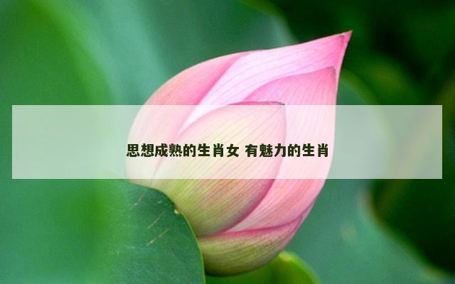思想成熟的生肖女 有魅力的生肖