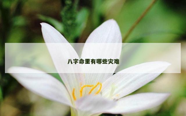 八字命里有哪些灾难