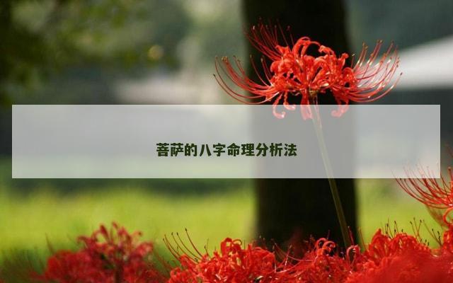 菩萨的八字命理分析法