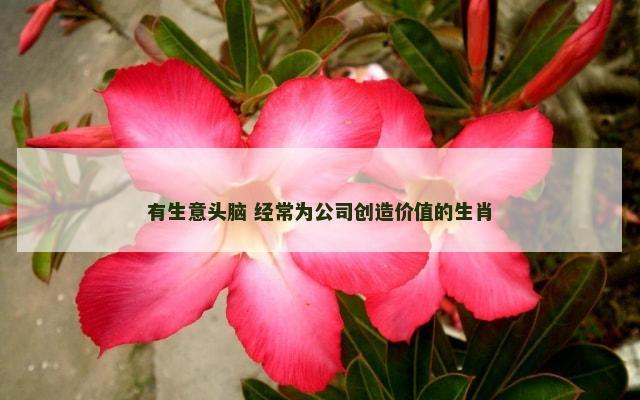 有生意头脑 经常为公司创造价值的生肖