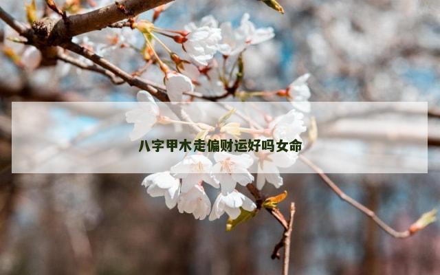 八字甲木走偏财运好吗女命