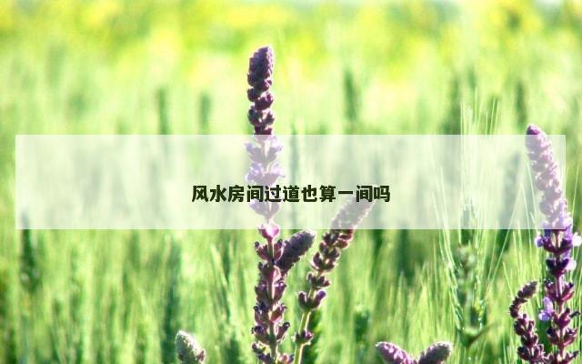 风水房间过道也算一间吗