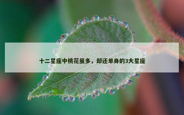 十二星座中桃花虽多，却还单身的3大星座