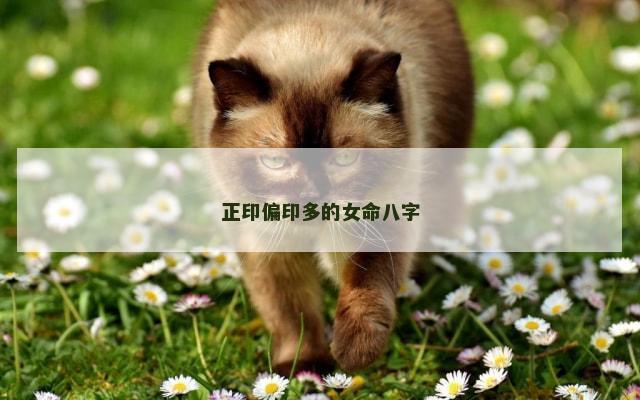 正印偏印多的女命八字