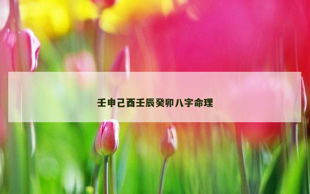 壬申己酉壬辰癸卯八字命理