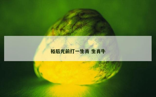 裕后光前打一生肖 生肖牛