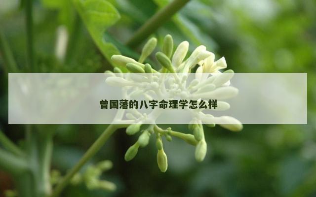 曾国藩的八字命理学怎么样