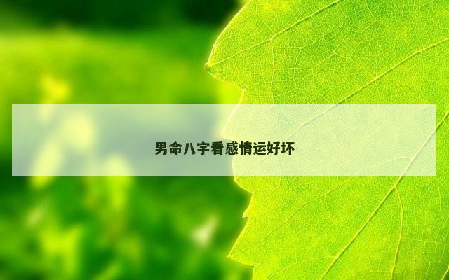 男命八字看感情运好坏