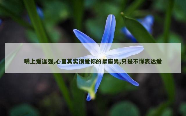 嘴上爱逞强,心里其实很爱你的星座男,只是不懂表达爱