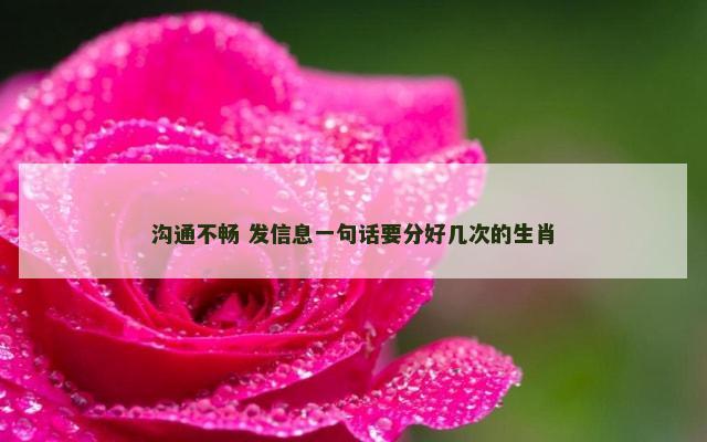 沟通不畅 发信息一句话要分好几次的生肖