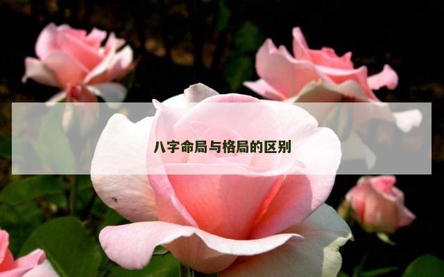 八字命局与格局的区别
