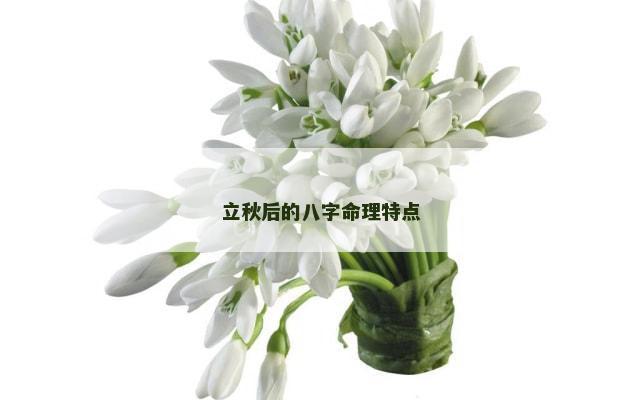 立秋后的八字命理特点