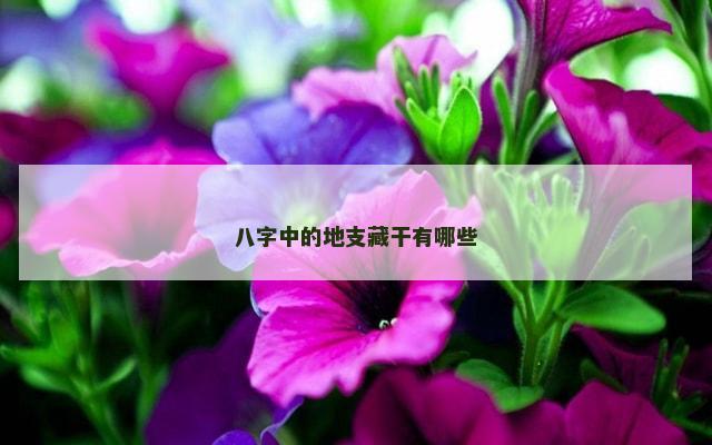 八字中的地支藏干有哪些