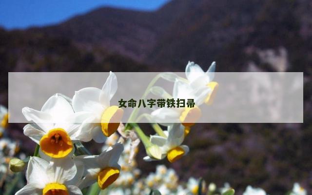 女命八字带铁扫帚