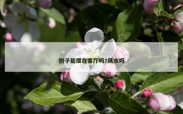 刨子能摆在客厅吗?风水吗