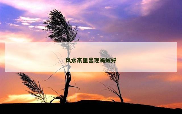 风水家里出现蚂蚁好