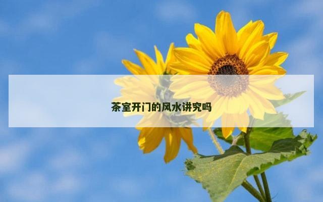 茶室开门的风水讲究吗