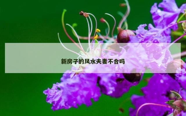 新房子的风水夫妻不合吗