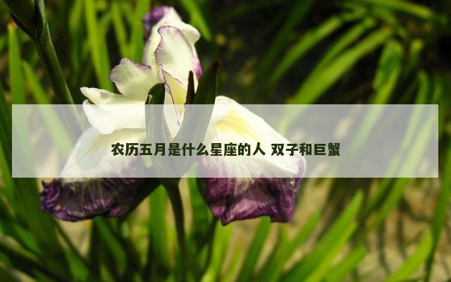 农历五月是什么星座的人 双子和巨蟹