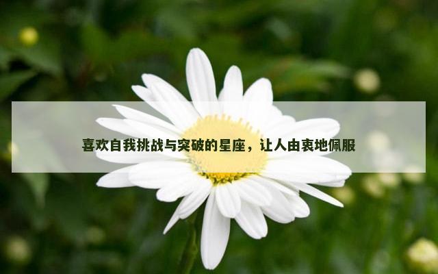 喜欢自我挑战与突破的星座，让人由衷地佩服