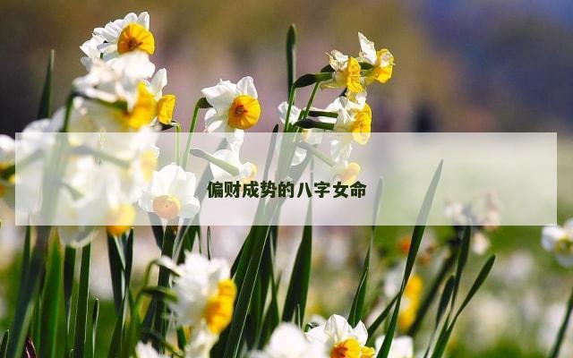 偏财成势的八字女命