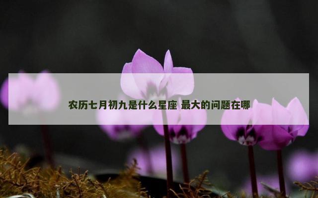 农历七月初九是什么星座 最大的问题在哪