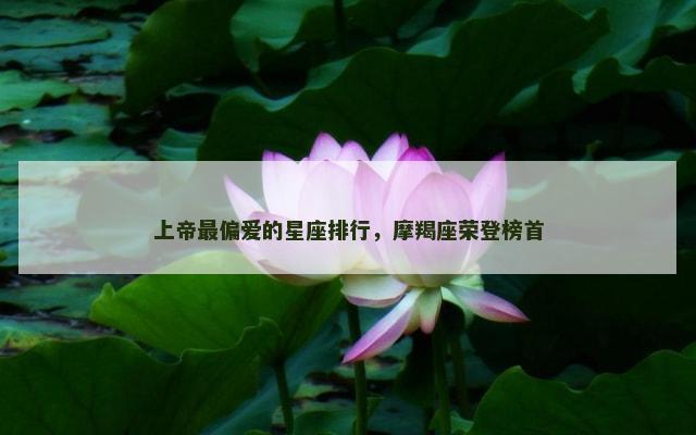 上帝最偏爱的星座排行，摩羯座荣登榜首
