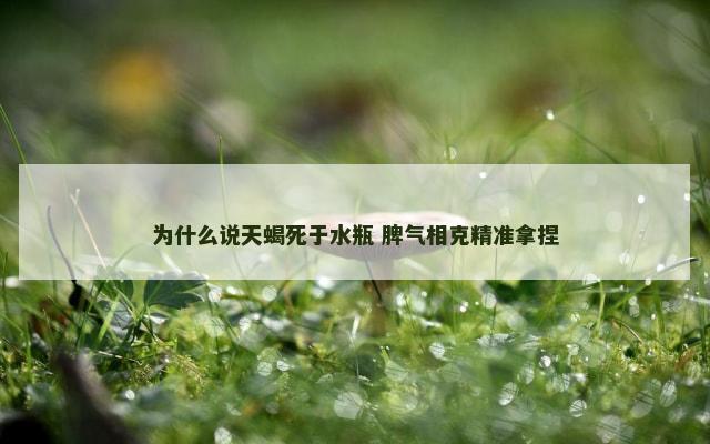 为什么说天蝎死于水瓶 脾气相克精准拿捏