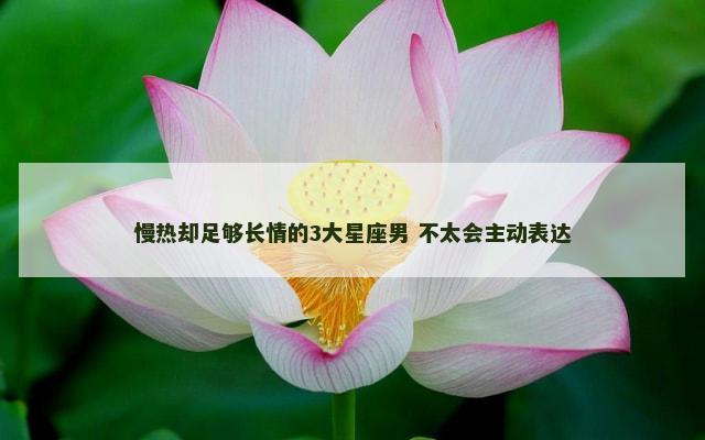 慢热却足够长情的3大星座男 不太会主动表达