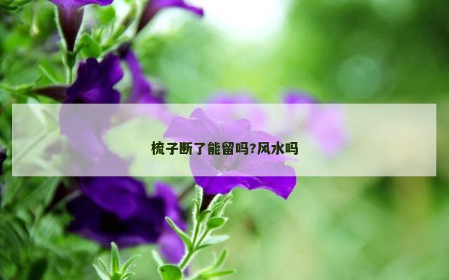 梳子断了能留吗?风水吗