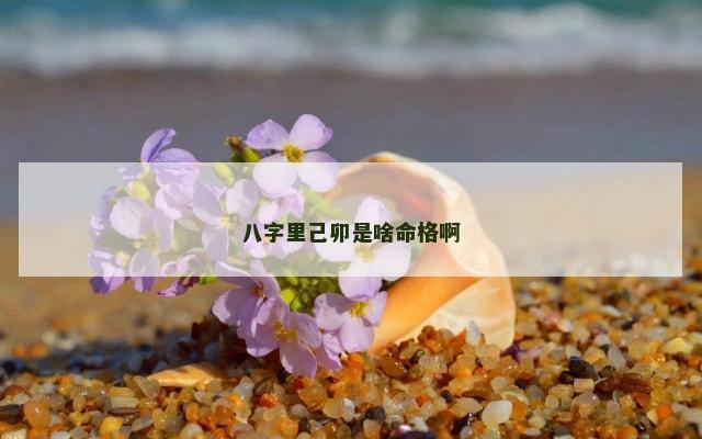 八字里己卯是啥命格啊