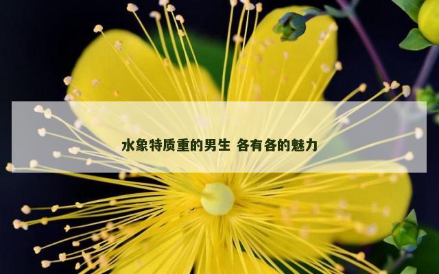 水象特质重的男生 各有各的魅力