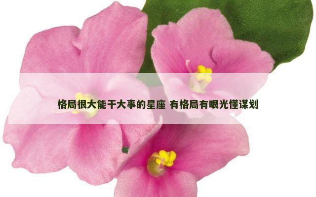格局很大能干大事的星座 有格局有眼光懂谋划