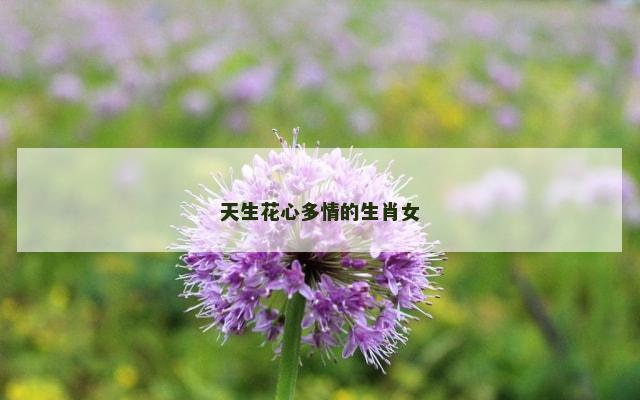 天生花心多情的生肖女