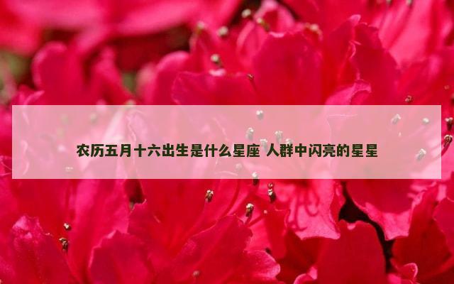 农历五月十六出生是什么星座 人群中闪亮的星星